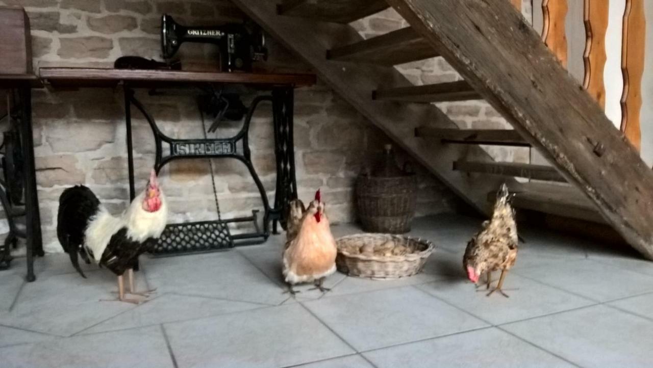 La Ferme Du Grand Faubourg Panzió Pont-de-Vaux Kültér fotó